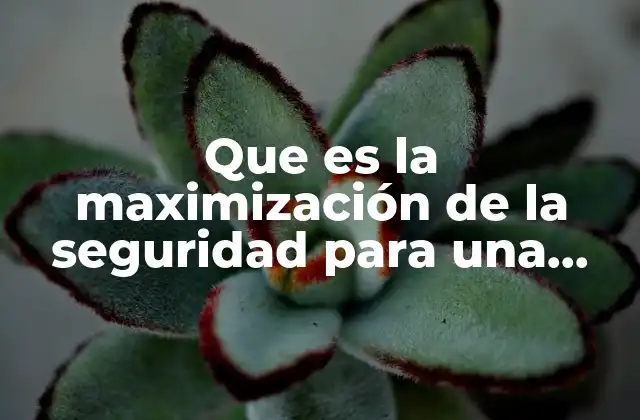 Que es la Maximización de la Seguridad para una Empresa