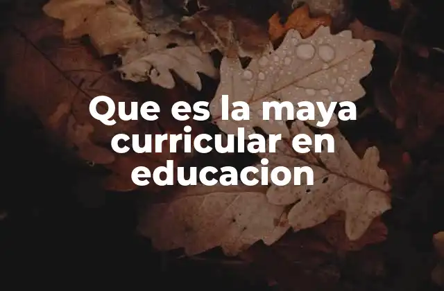 Que es la Maya Curricular en Educacion
