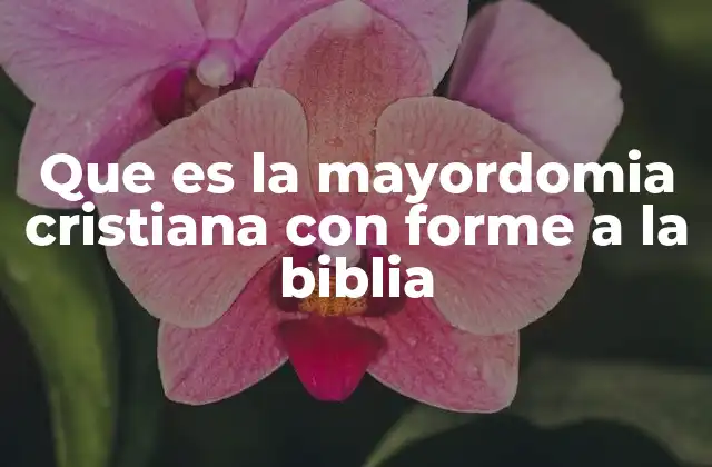 Que es la Mayordomia Cristiana con Forme a la Biblia