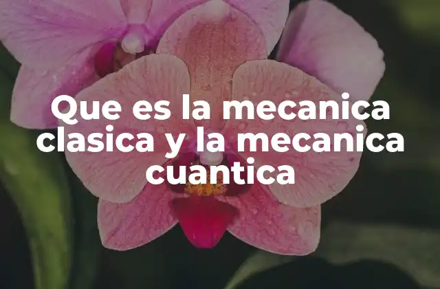 Que es la Mecanica Clasica y la Mecanica Cuantica