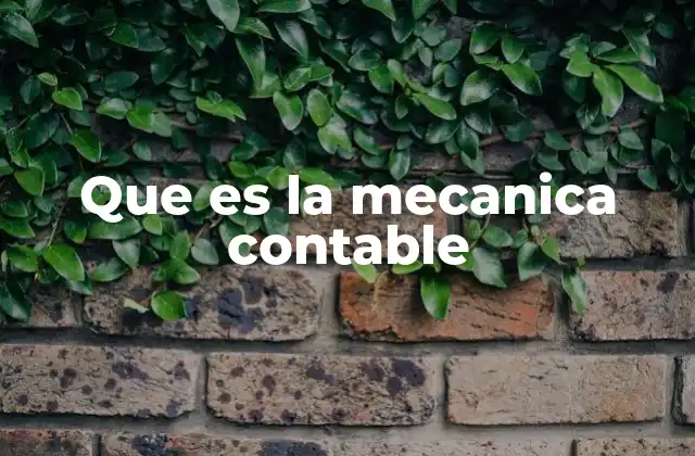 Que es la Mecanica Contable