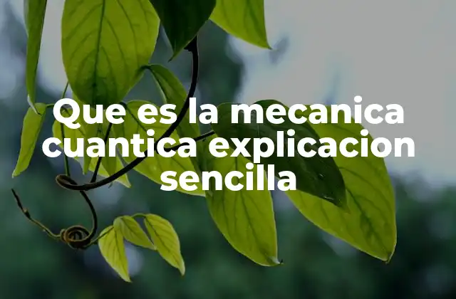 Que es la Mecanica Cuantica Explicacion Sencilla