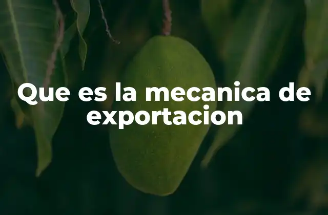 Que es la Mecanica de Exportacion