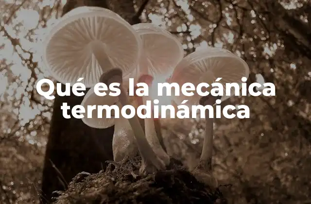 Qué es la Mecánica Termodinámica