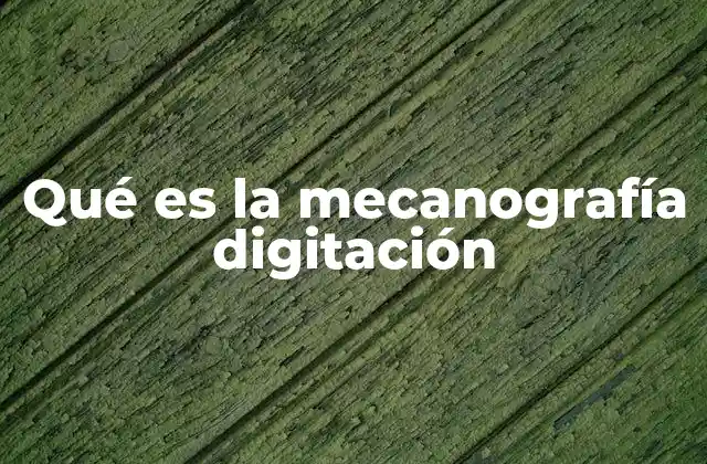 La importancia de la digitación en el entorno digital
