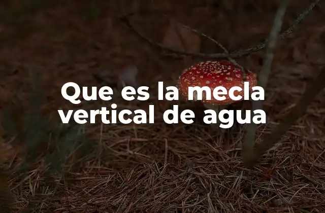 Que es la Mecla Vertical de Agua