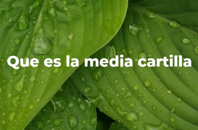 El papel de la media cartilla en la identidad histórica