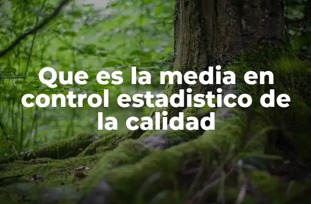 Que es la Media en Control Estadistico de la Calidad