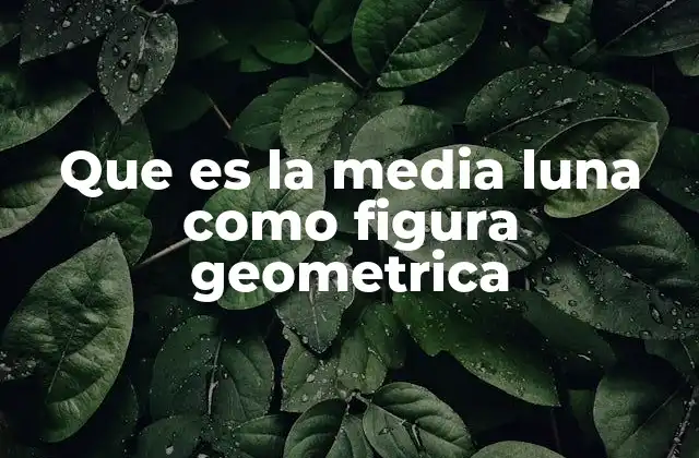 Que es la Media Luna como Figura Geometrica