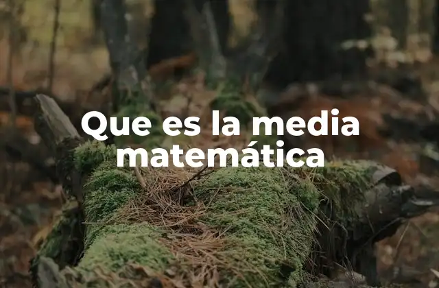 Que es la Media Matemática