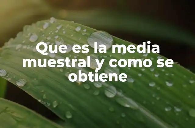 Que es la Media Muestral y como Se Obtiene 2 La importancia de calcular una media muestral en investigaciones estadísticas
