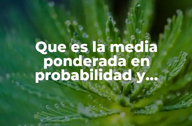 Que es la Media Ponderada en Probabilidad y Estadistica