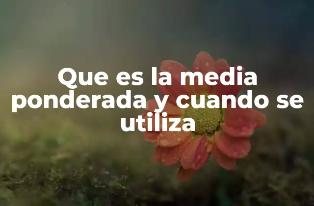 Que es la Media Ponderada y Cuando Se Utiliza