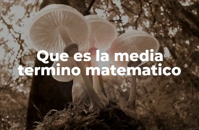 Que es la Media Termino Matematico 2 El papel de la media en la estadística descriptiva