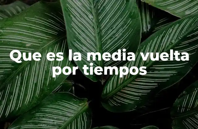 Que es la Media Vuelta por Tiempos 2 La importancia de la transición en carreras de relevos
