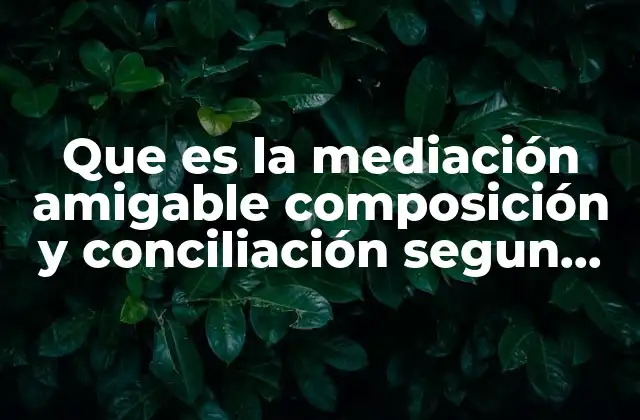 Que es la Mediación Amigable Composición y Conciliación Segun Cervantes