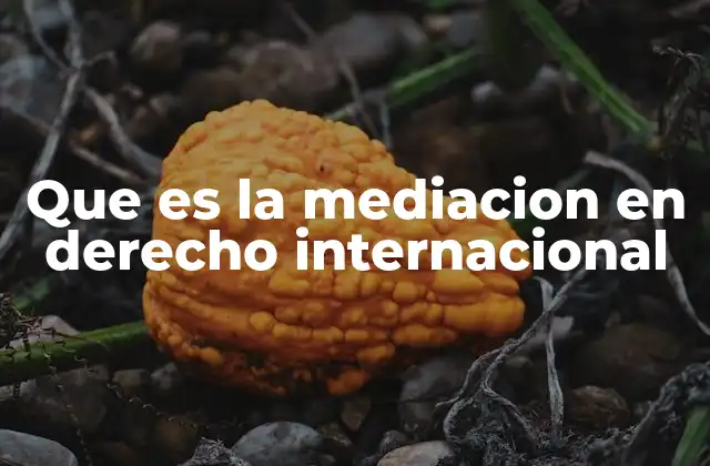 Que es la Mediacion en Derecho Internacional