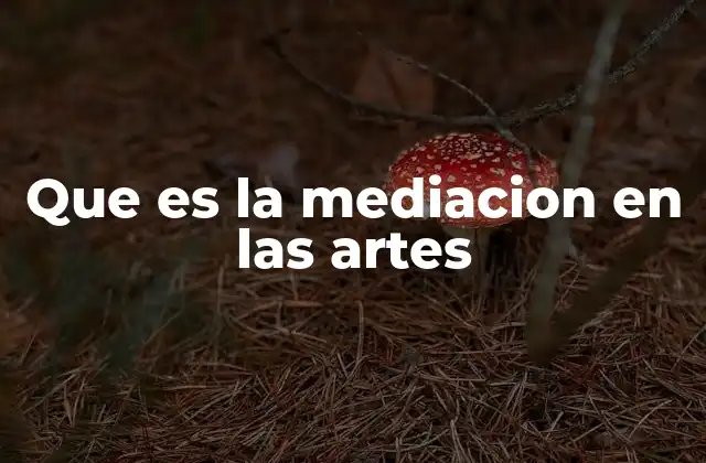 Que es la Mediacion en las Artes