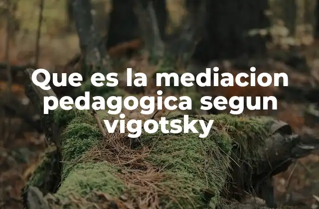 La base teórica de la mediación pedagógica