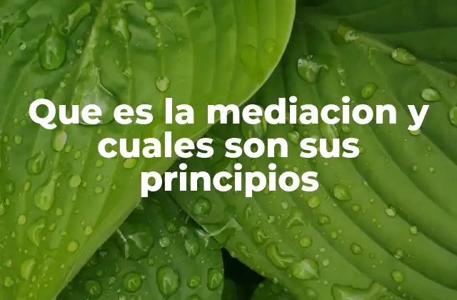 Que es la Mediacion y Cuales Son Sus Principios