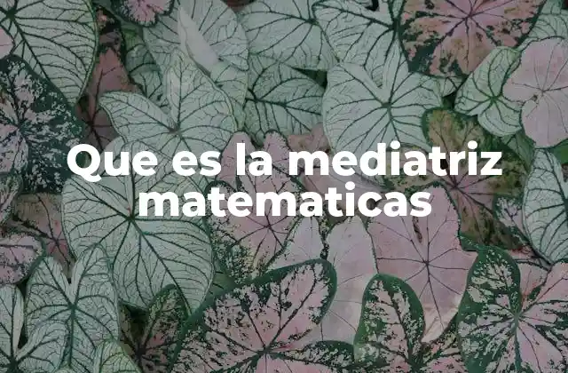 Que es la Mediatriz Matematicas