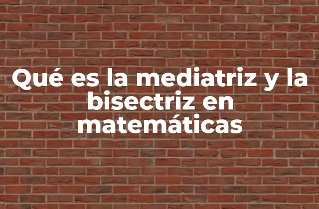 Qué es la Mediatriz y la Bisectriz en Matemáticas