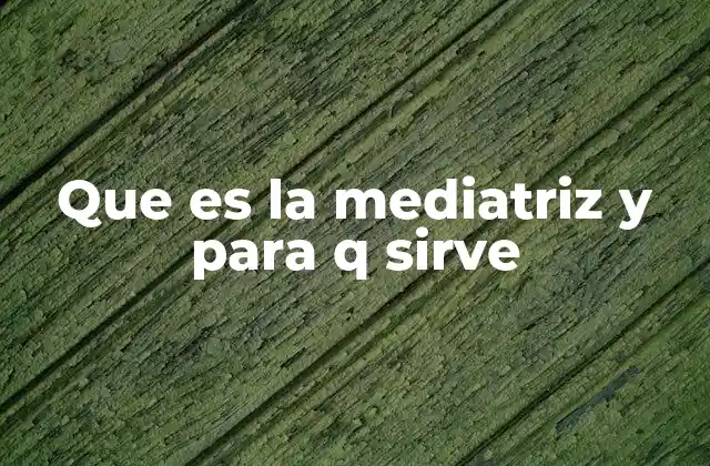 Que es la Mediatriz y para Q Sirve