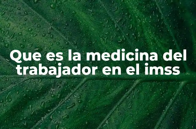 Que es la Medicina Del Trabajador en el Imss