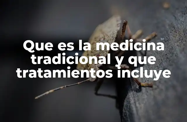 Que es la Medicina Tradicional y que Tratamientos Incluye
