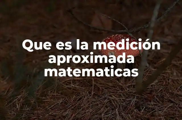 Que es la Medición Aproximada Matematicas