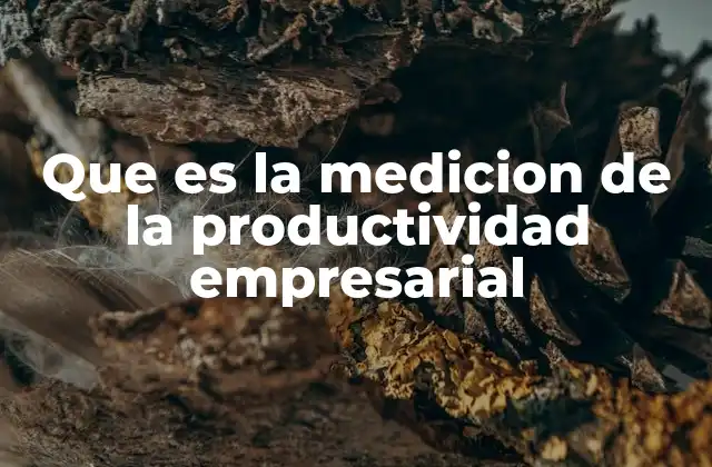 Que es la Medicion de la Productividad Empresarial