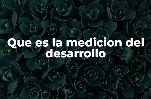 Que es la Medicion Del Desarrollo