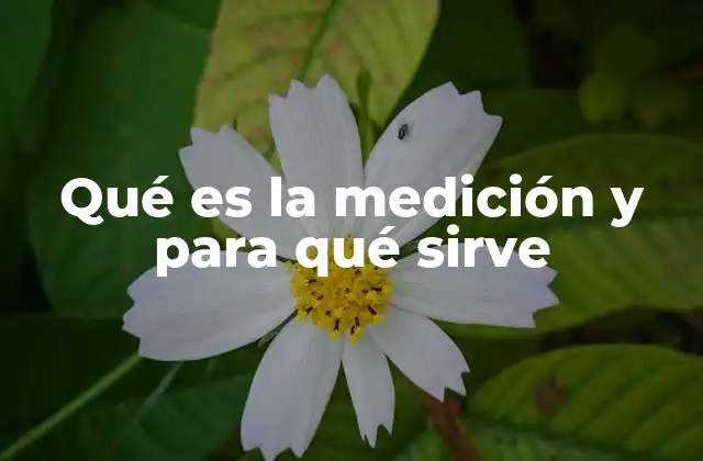 Qué es la Medición y para Qué Sirve