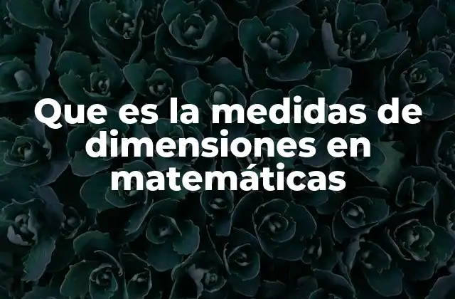 Que es la Medidas de Dimensiones en Matemáticas