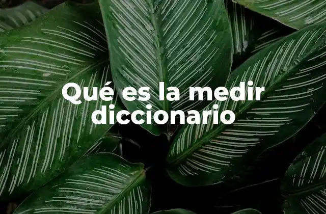 Qué es la Medir Diccionario