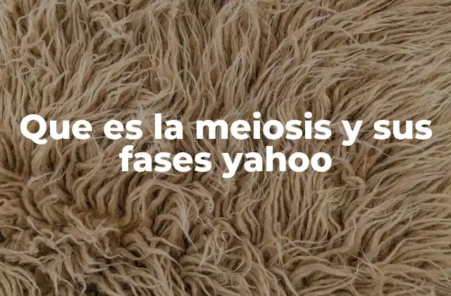 Que es la Meiosis y Sus Fases Yahoo