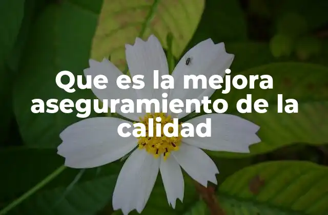 Que es la Mejora Aseguramiento de la Calidad 2 Cómo impacta la calidad en el desempeño organizacional