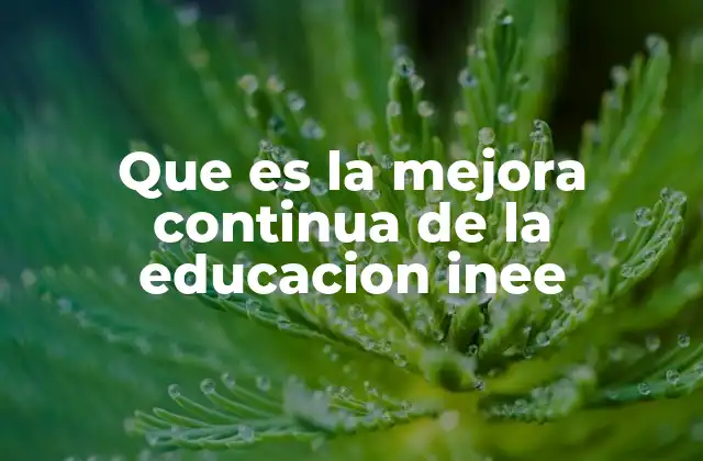 Que es la Mejora Continua de la Educacion Inee