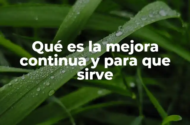 Qué es la Mejora Continua y para que Sirve 2 La importancia de la mejora continua en la gestión empresarial