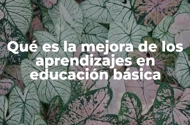 Qué es la Mejora de los Aprendizajes en Educación Básica