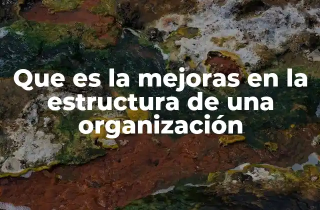 Que es la Mejoras en la Estructura de una Organización