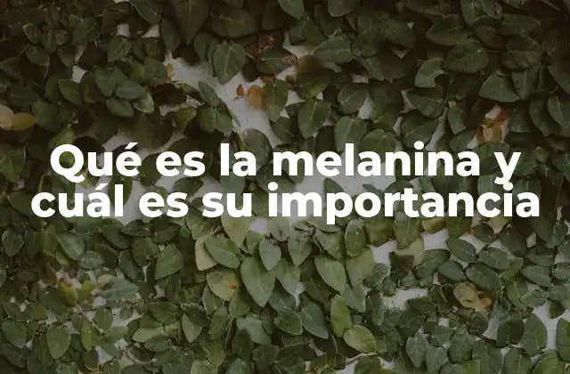 El papel de la melanina en la protección solar