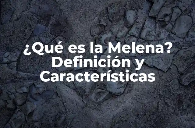 ¿qué es la Melena? Definición y Características