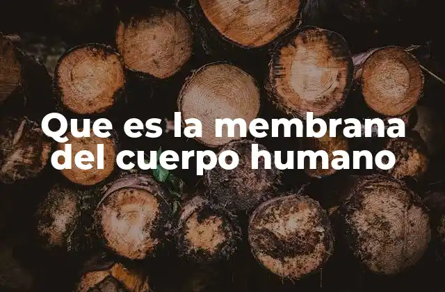 Que es la Membrana Del Cuerpo Humano