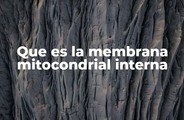 La estructura molecular de la membrana mitocondrial interna