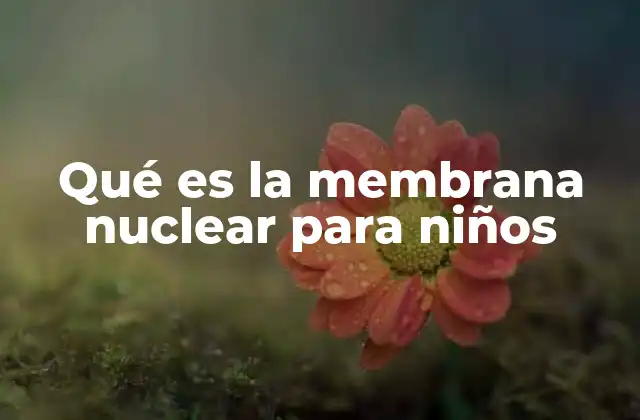Qué es la Membrana Nuclear para Niños