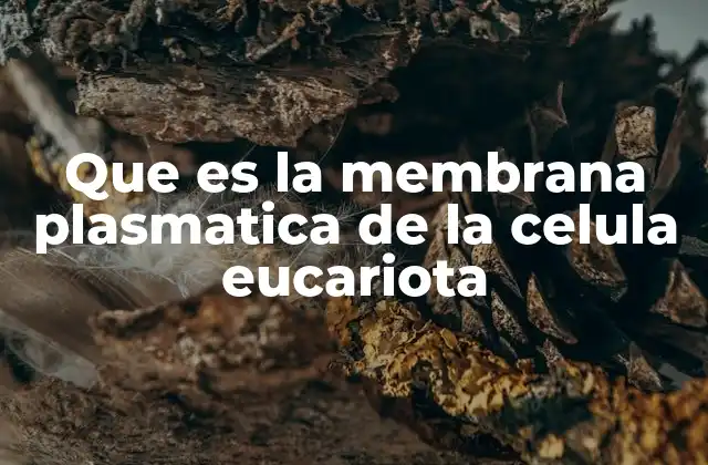 Que es la Membrana Plasmatica de la Celula Eucariota