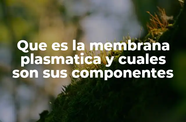 Que es la Membrana Plasmatica y Cuales Son Sus Componentes