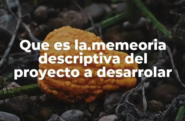 Que es La.memeoria Descriptiva Del Proyecto a Desarrolar