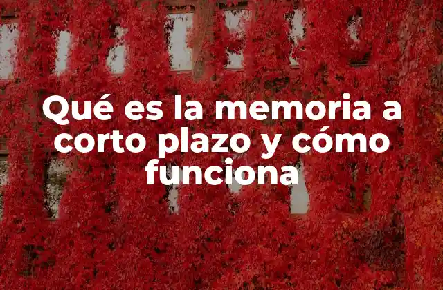 El papel de la memoria a corto plazo en el procesamiento cognitivo